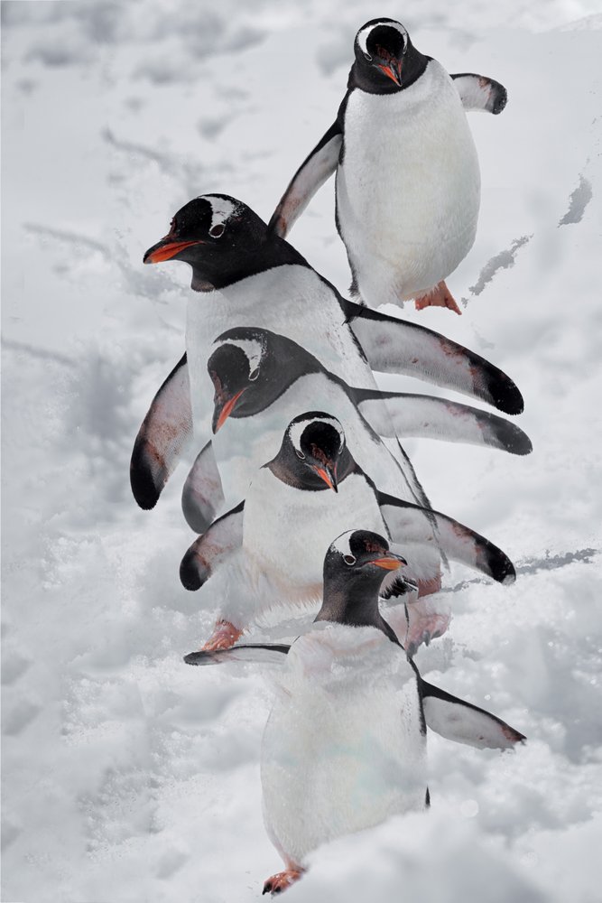  de Chuanxu Ren