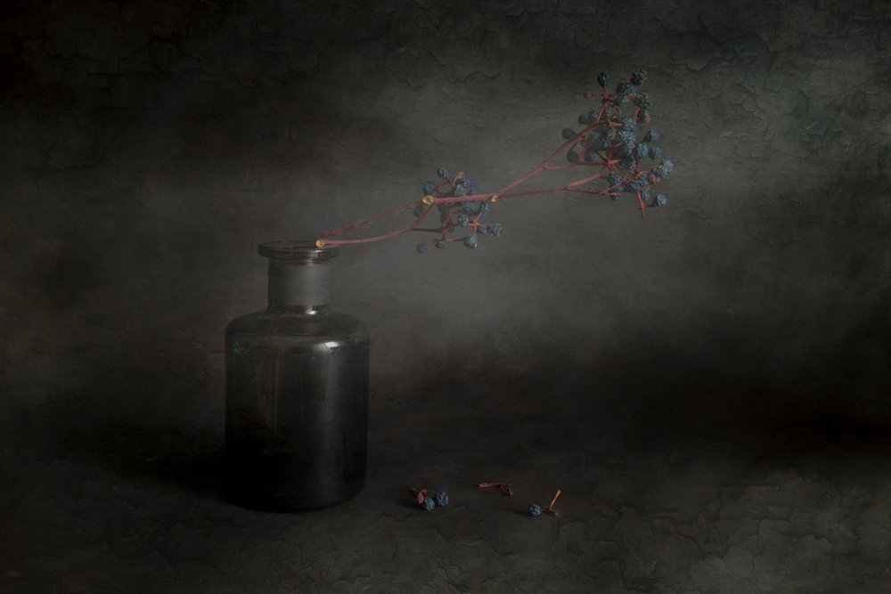 Natureza morta com bagas escuras de Cicek Kiral