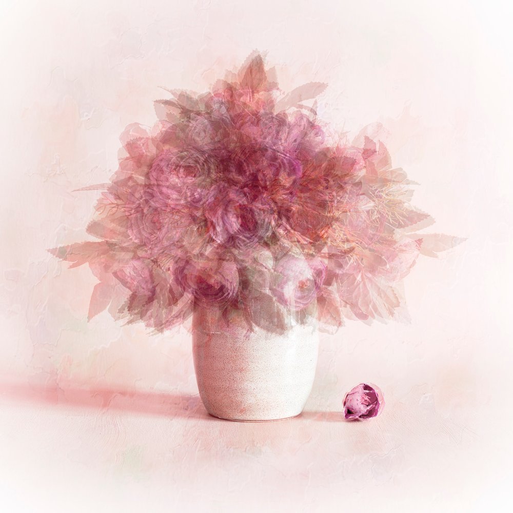 Flores cor-de-rosa de sonho de Cicek Kiral