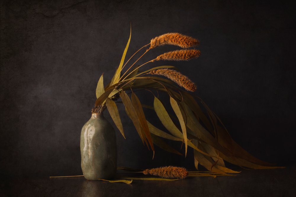 Natureza morta com plantas secas de Cicek Kiral
