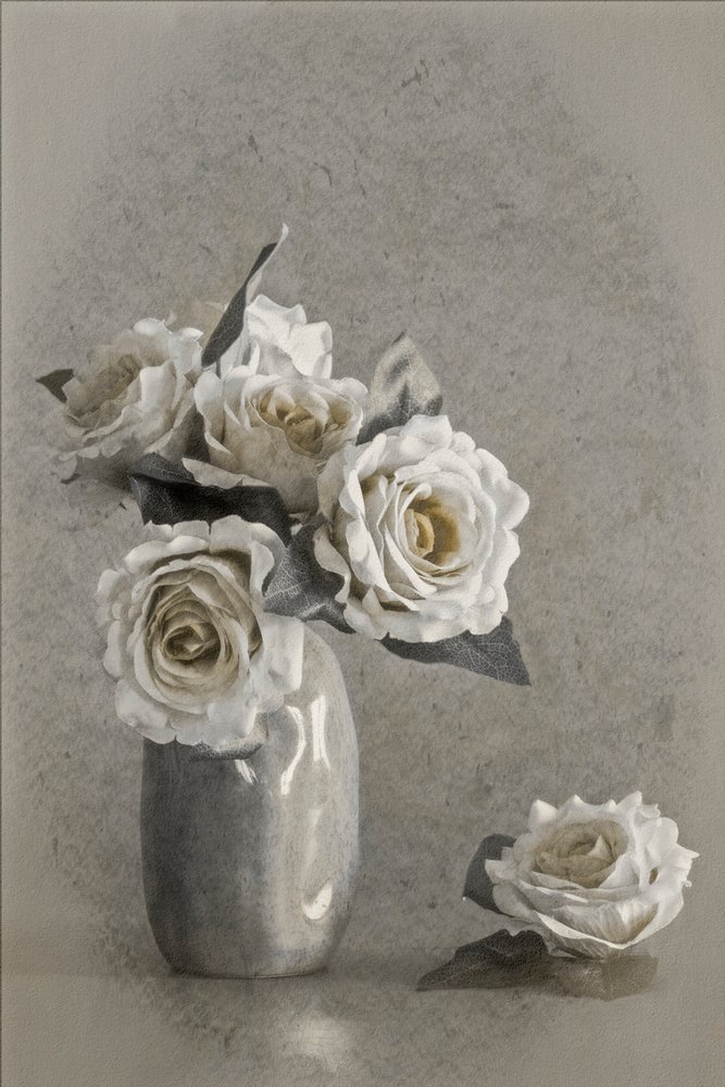 Rosas brancas elegantes de Cicek Kiral