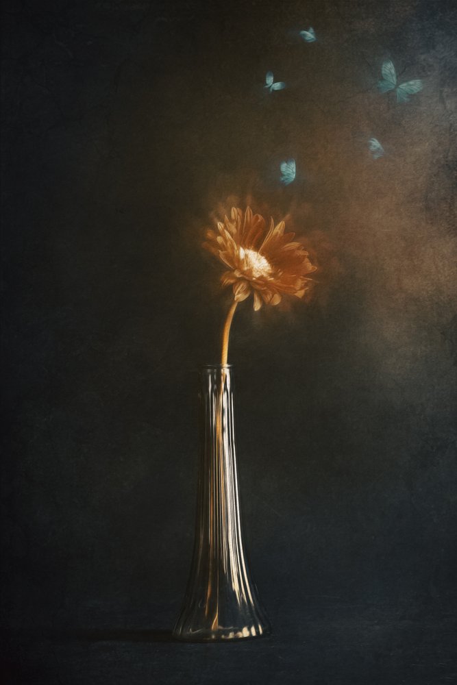Borboletas-flor brilhantes de Cicek Kiral