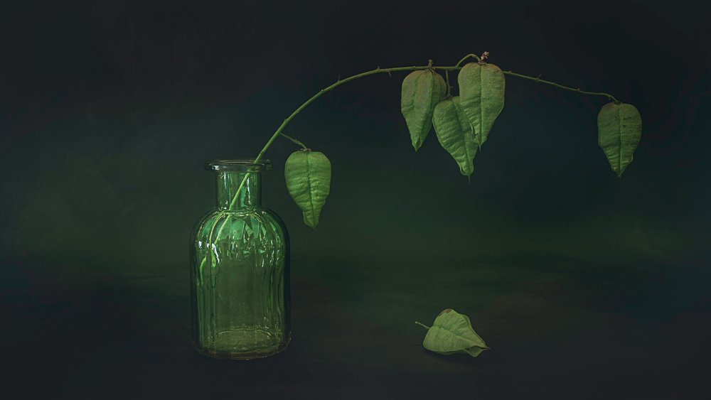 Natureza morta com folhas verdes de Cicek Kiral