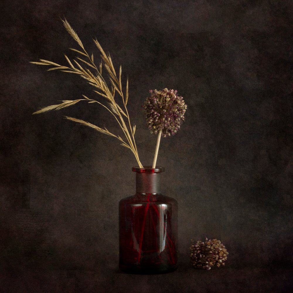 Moody - Plantas Secas de Cicek Kiral