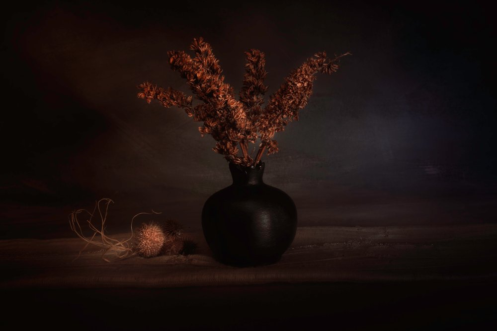 Moody - Plantas Secas de Cicek Kiral