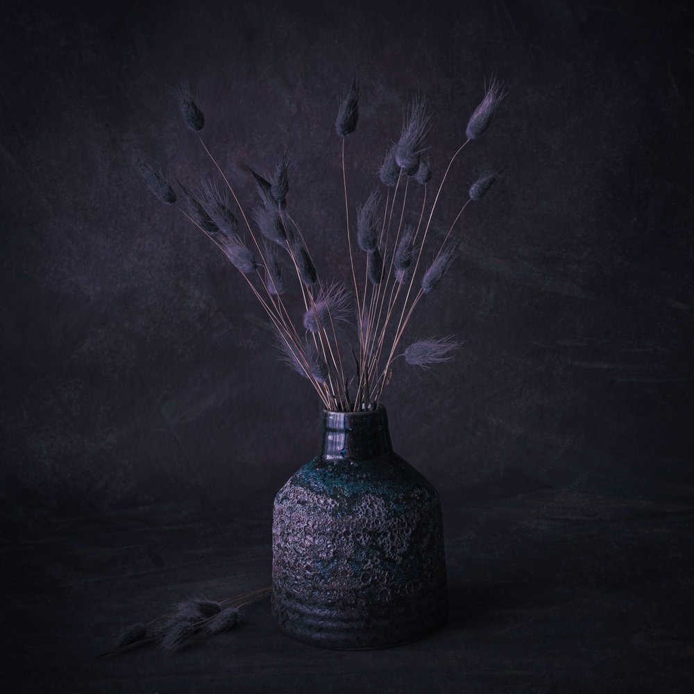 Flores Secas Moody de Cicek Kiral