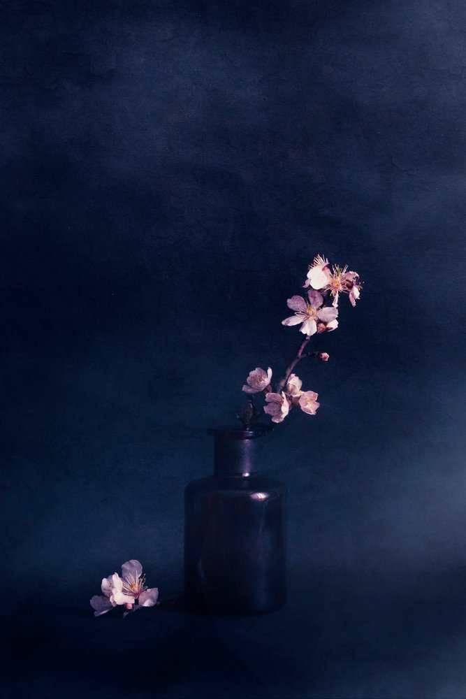 Vaso Floral Moody de Cicek Kiral