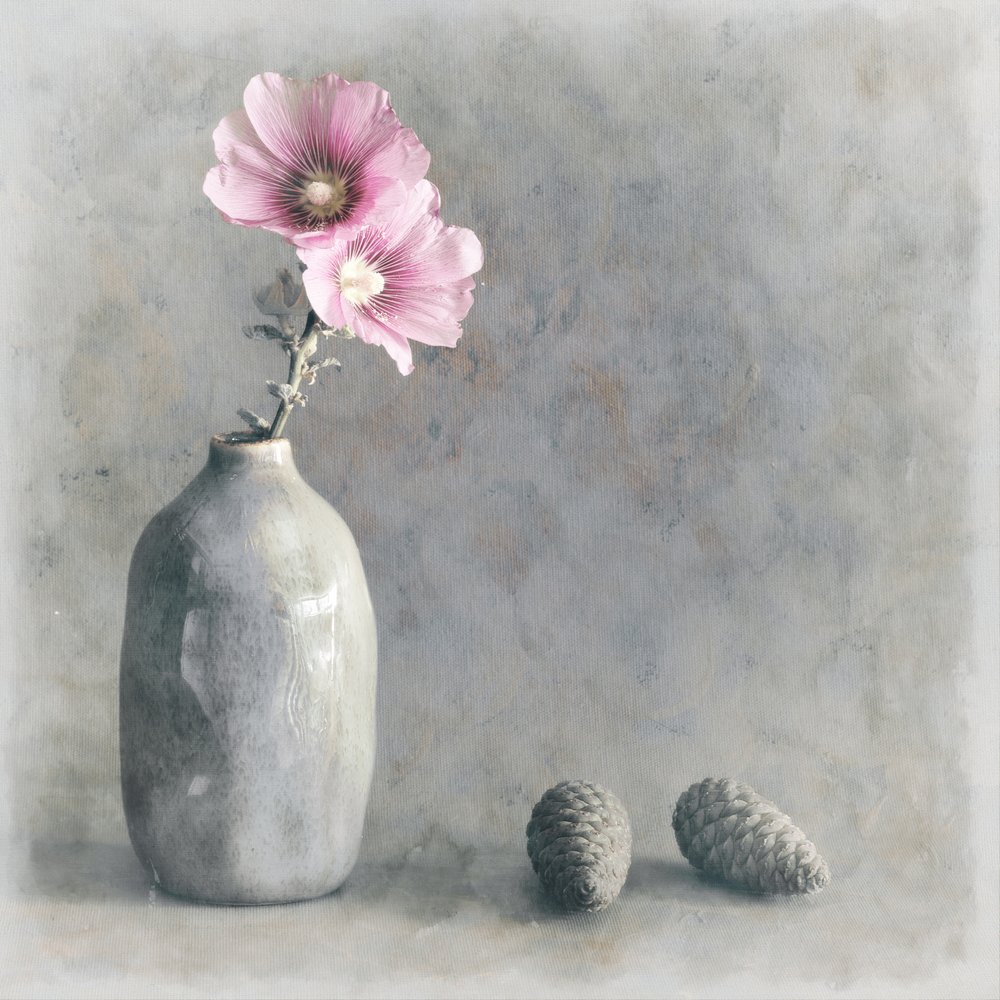 Natureza morta com malva-rosa de Cicek Kiral