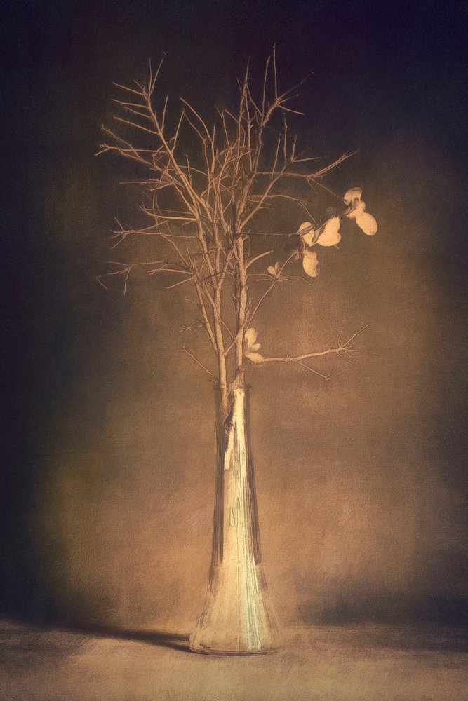 Vaso «Warm Branch» de Cicek Kiral