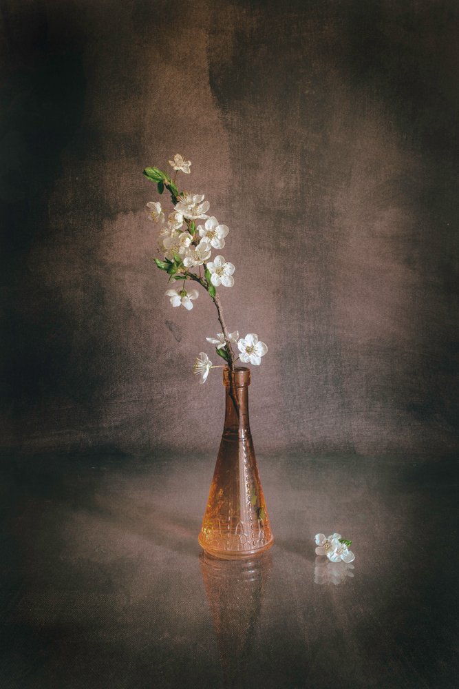 Vaso com flores de cerejeira brancas de Cicek Kiral
