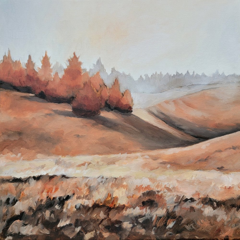 de Claire Whitehead