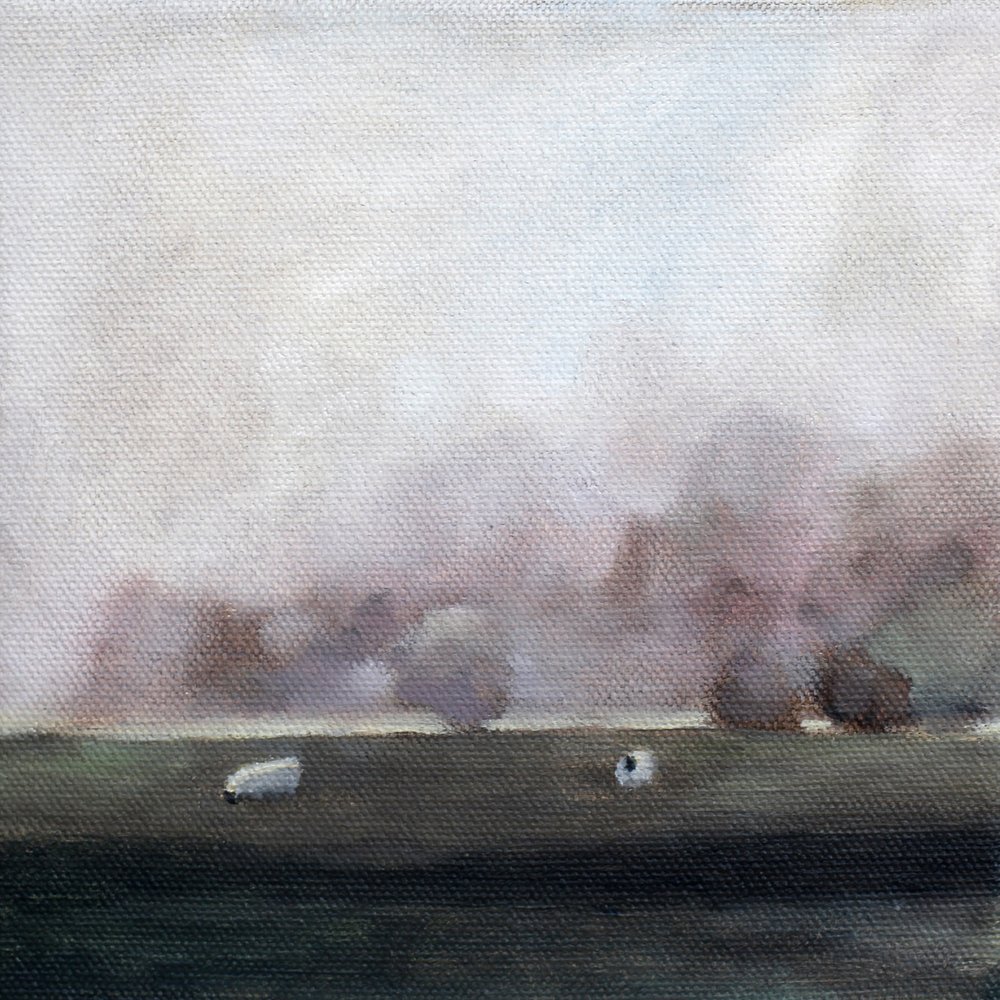 Ovelhas num campo tranquilo de Claire Whitehead