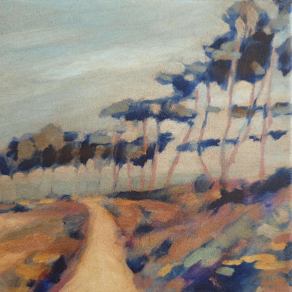 Caminho sinuoso pelo campo de Claire Whitehead