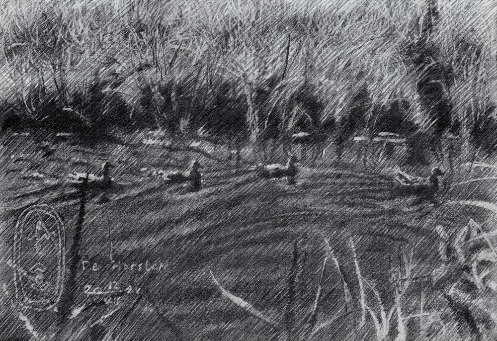 Patos nos juncos de Corné Akkers