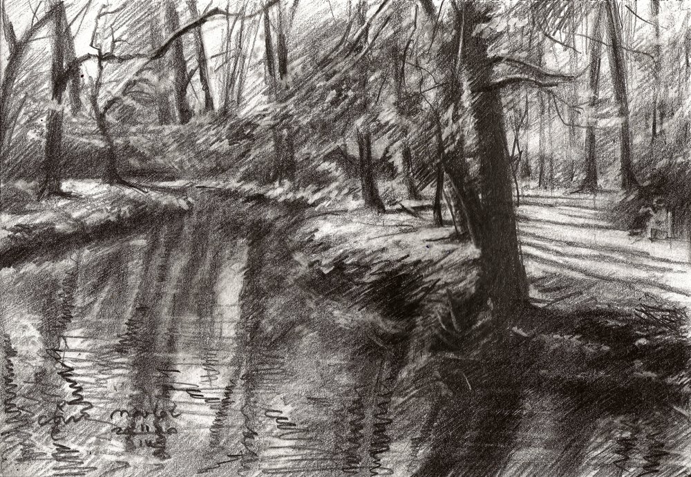 Reflexões sobre o ribeiro da floresta de Corné Akkers