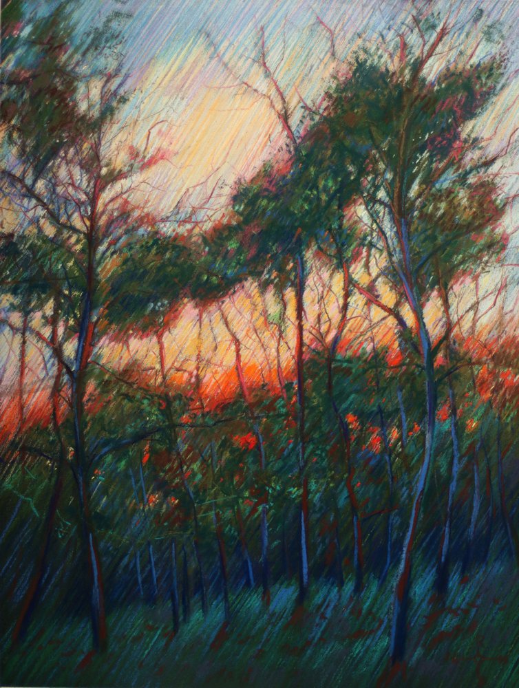 Brilho do pôr-do-sol na floresta de Corné Akkers