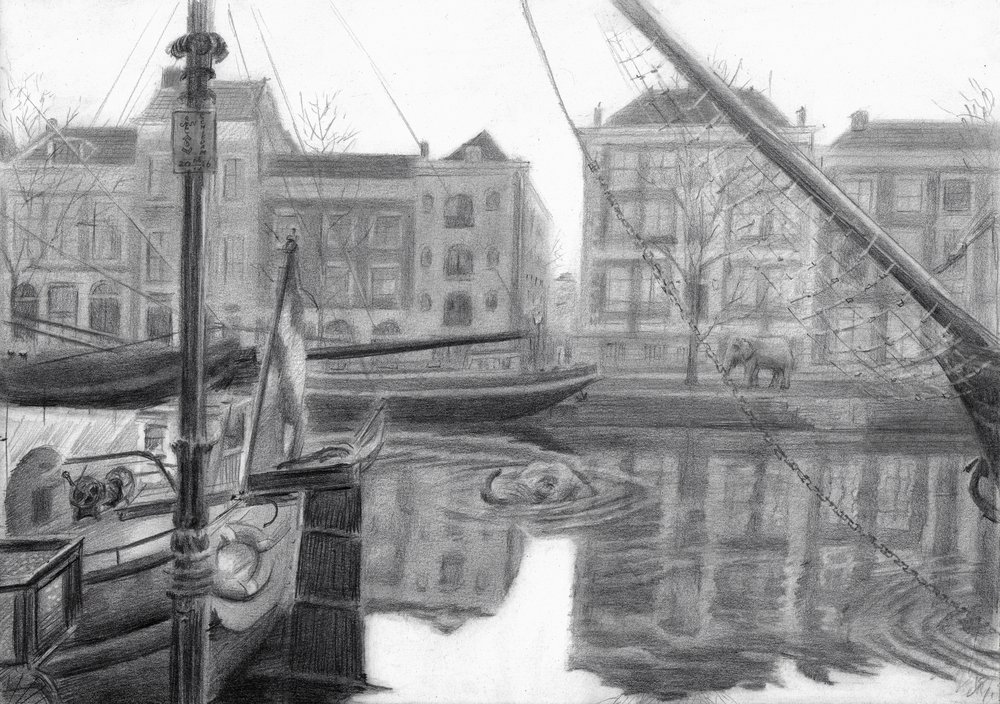 O misterioso elefante do canal de Corné Akkers