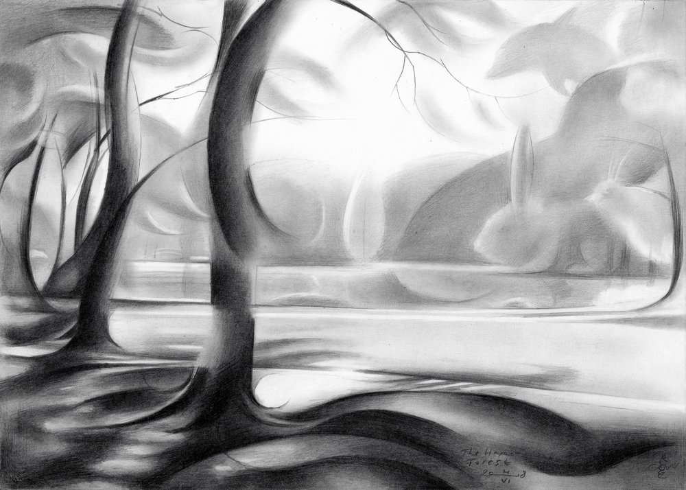 Reflexão na Floresta Mística de Corné Akkers