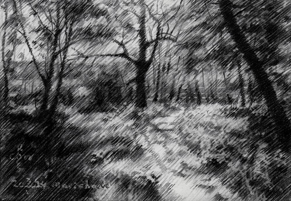 Caminho na floresta sombreada de Corné Akkers