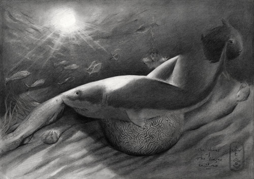 Tubarão e Sereia de Corné Akkers