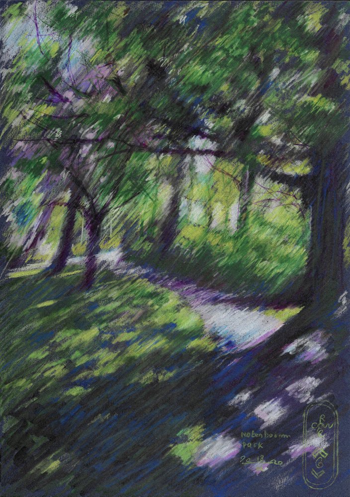 Caminho na floresta banhado pelo sol de Corné Akkers