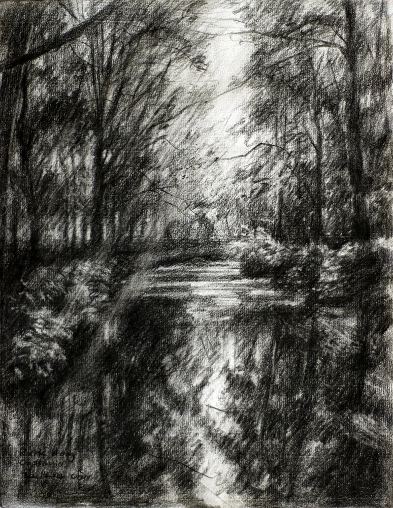 Caminho sinuoso pela floresta de Corné Akkers