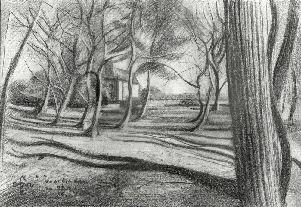 Sombras da Floresta de Inverno de Corné Akkers