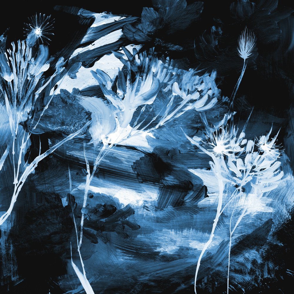 Floral Azul de Dan Hobday