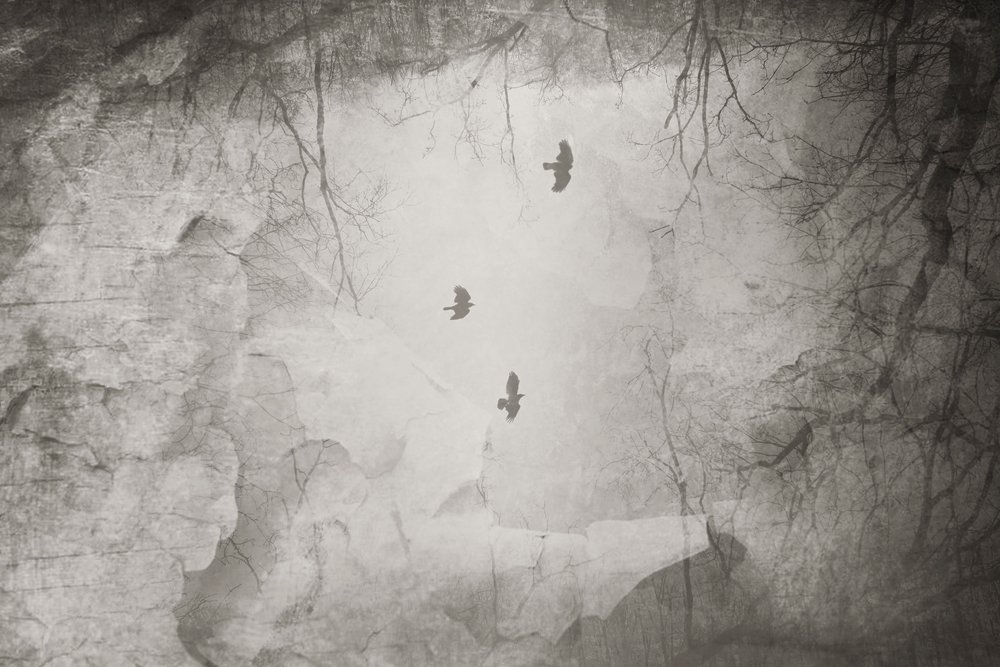  de Daniela Riegler