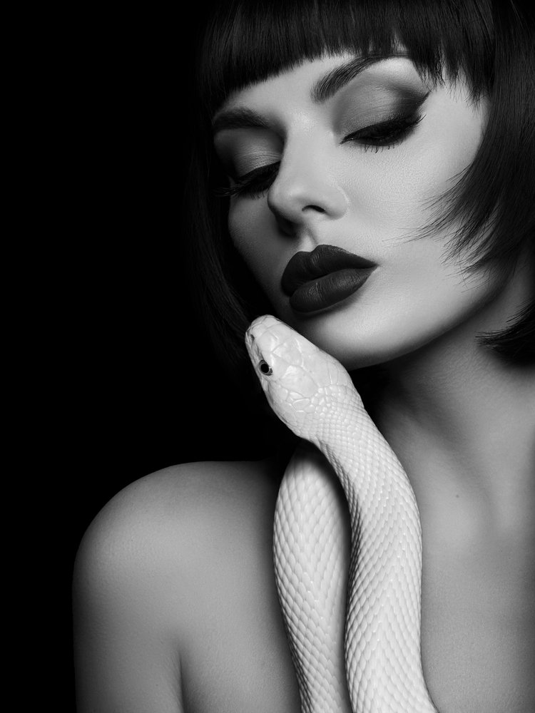  de David Drake