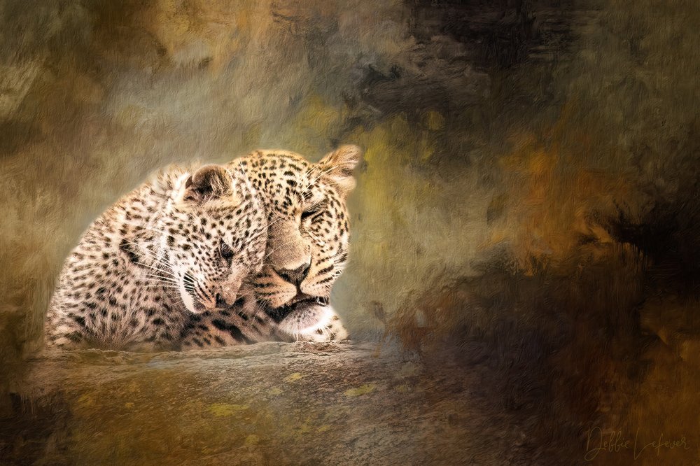 A ternura da família dos leopardos de Debbie Lefever