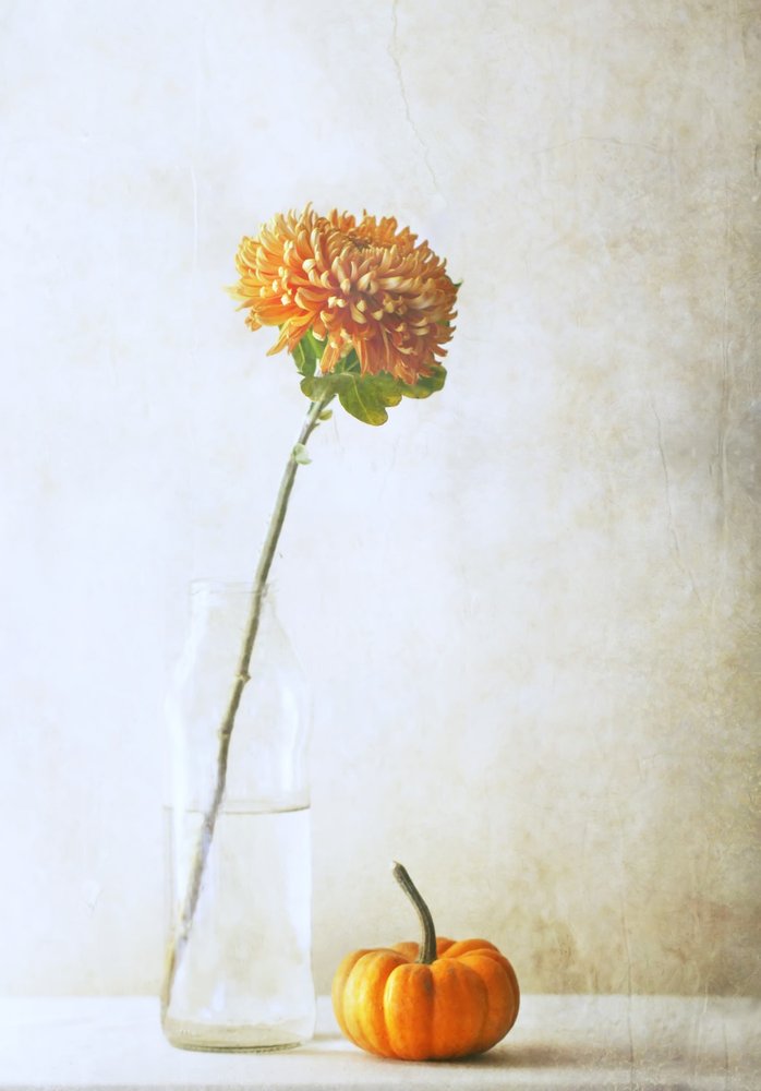  de Delphine Devos