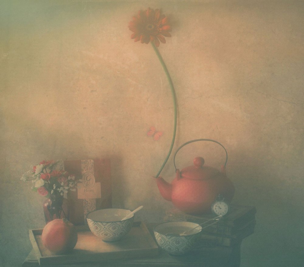  de Delphine Devos