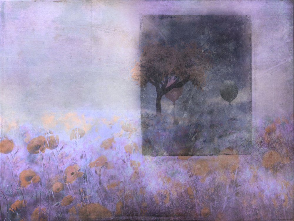  de Delphine Devos