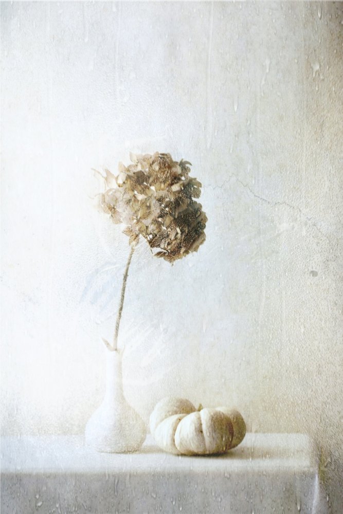  de Delphine Devos