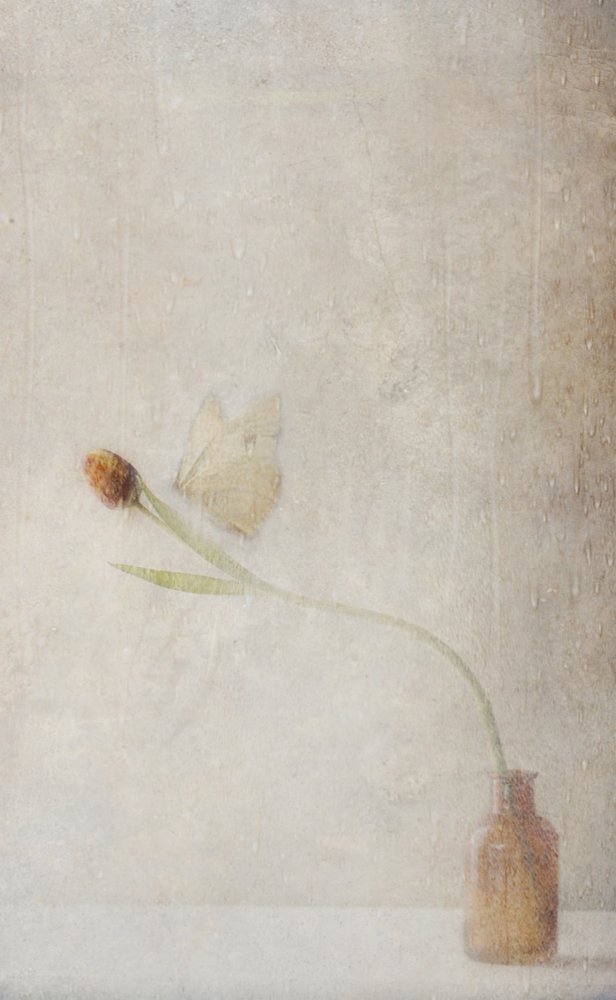  de Delphine Devos