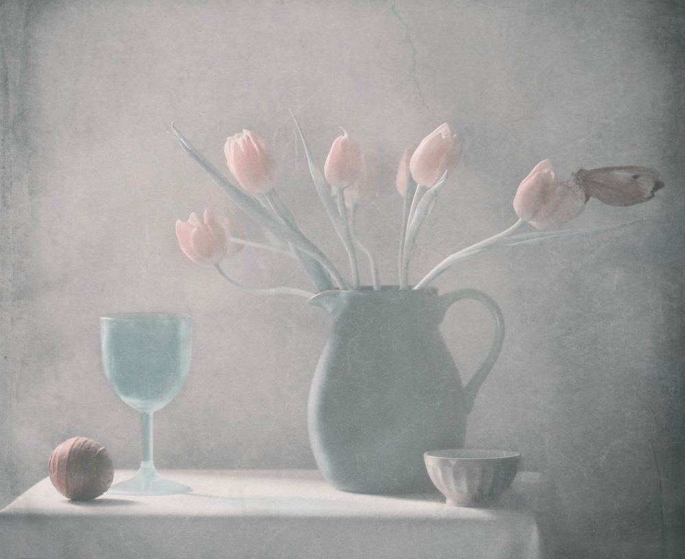  de Delphine Devos