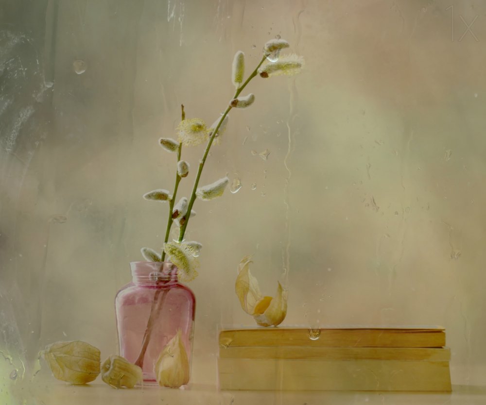 Salgueiro-de-flores e chuva de Delphine Devos