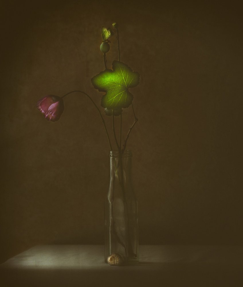  de Delphine Devos