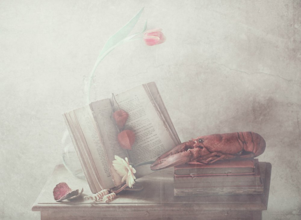  de Delphine Devos