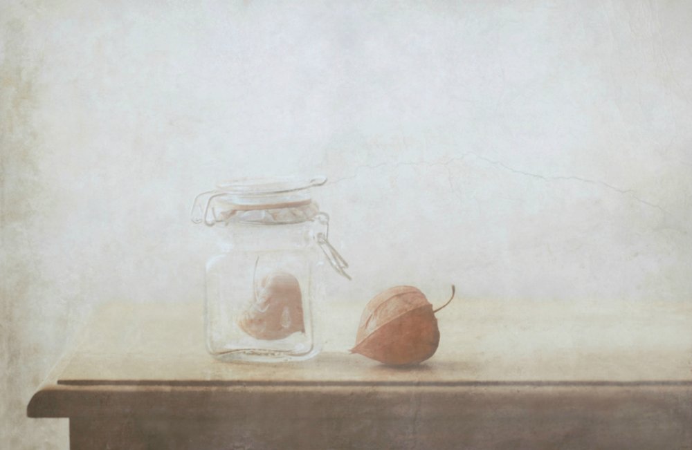  de Delphine Devos