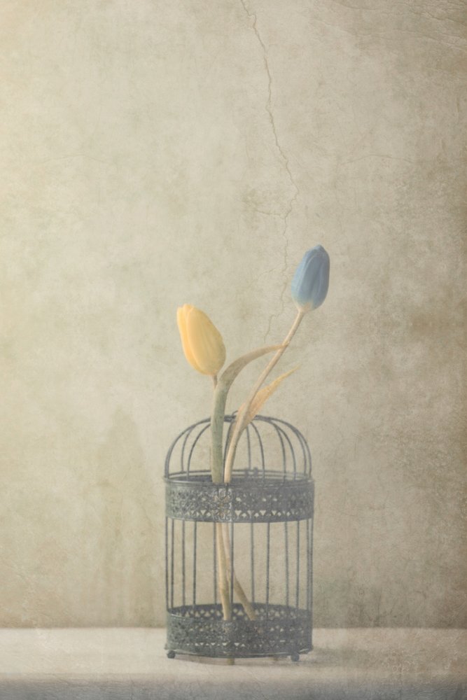  de Delphine Devos
