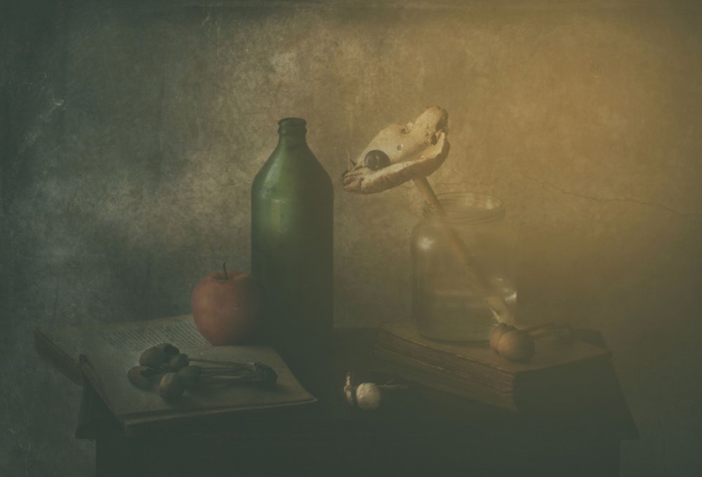  de Delphine Devos