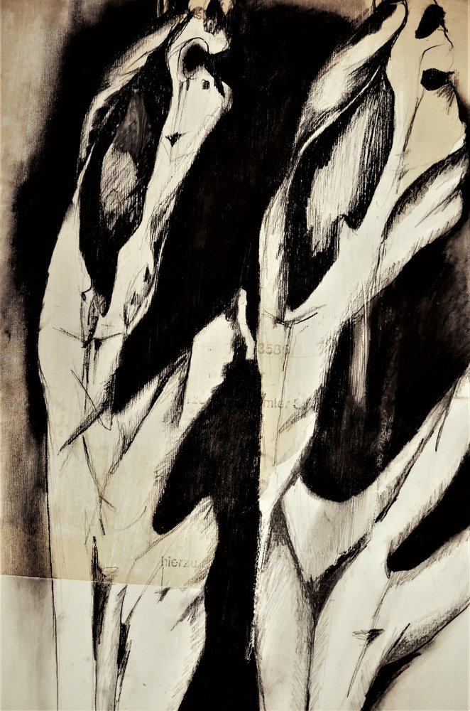 Formas Orgânicas Abstratas de Doris Schmitz