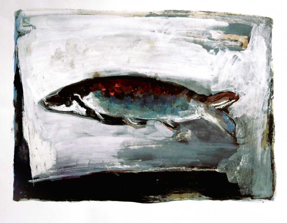 Peixes de águas escuras de Doris Schmitz