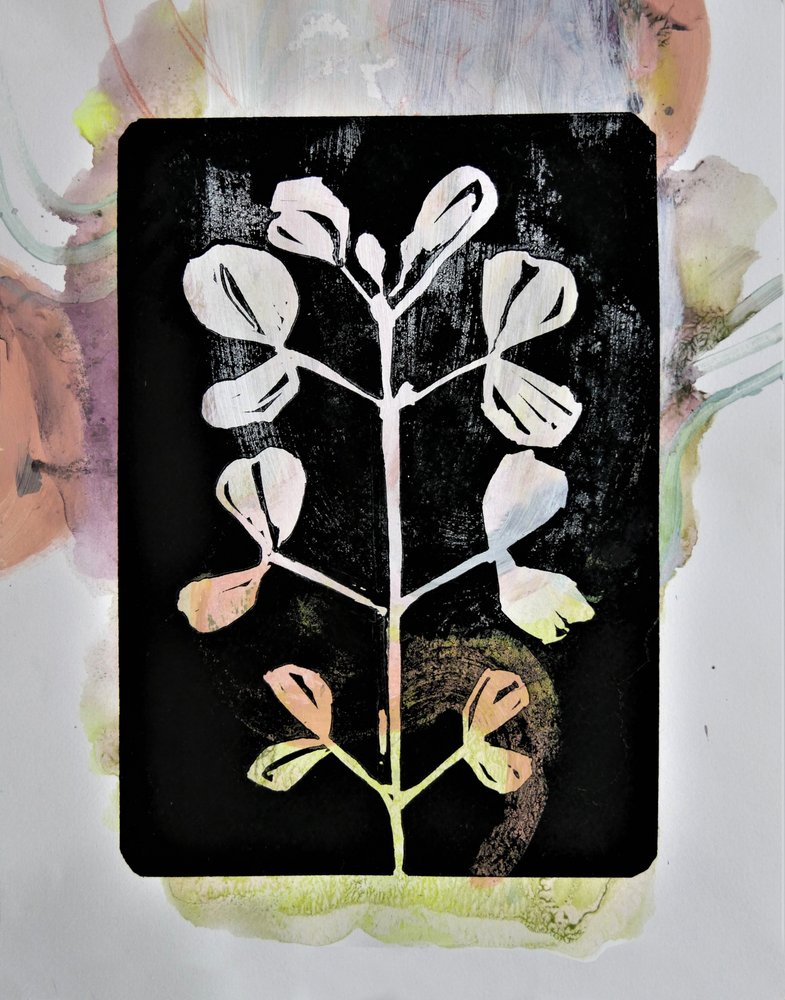 Estudo botânico em pastel de Doris Schmitz
