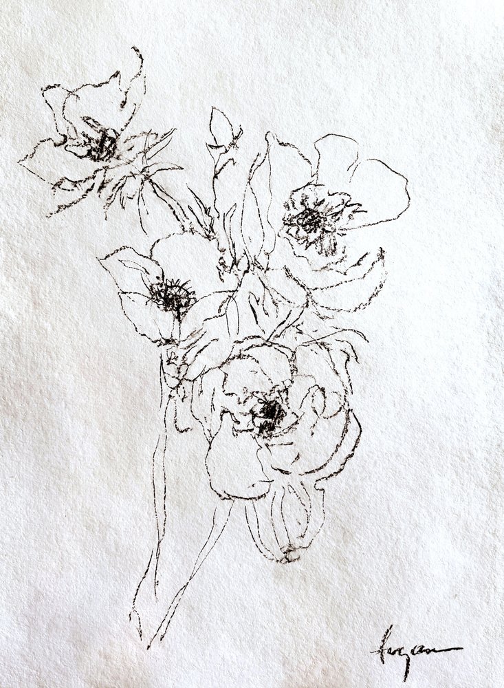 Desenho floral delicado de Dorothy Fagan