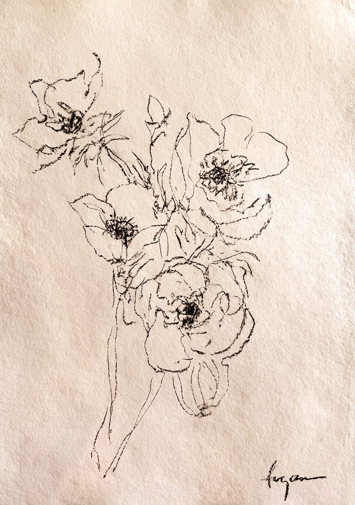 Esboço floral delicado de Dorothy Fagan