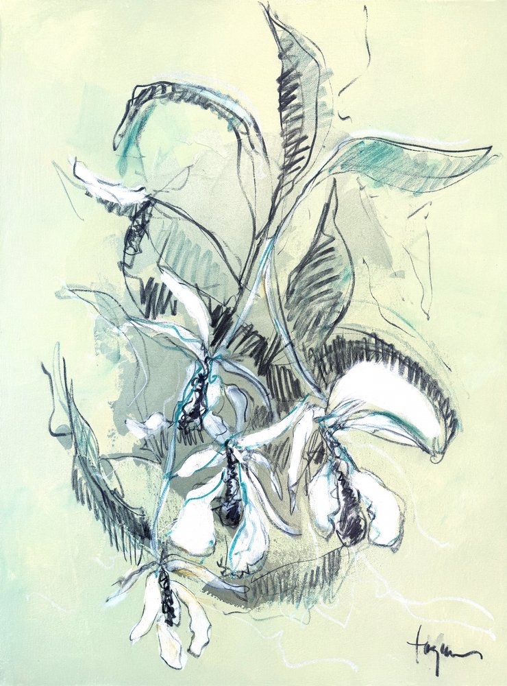 Esboço de uma orquídea delicada de Dorothy Fagan