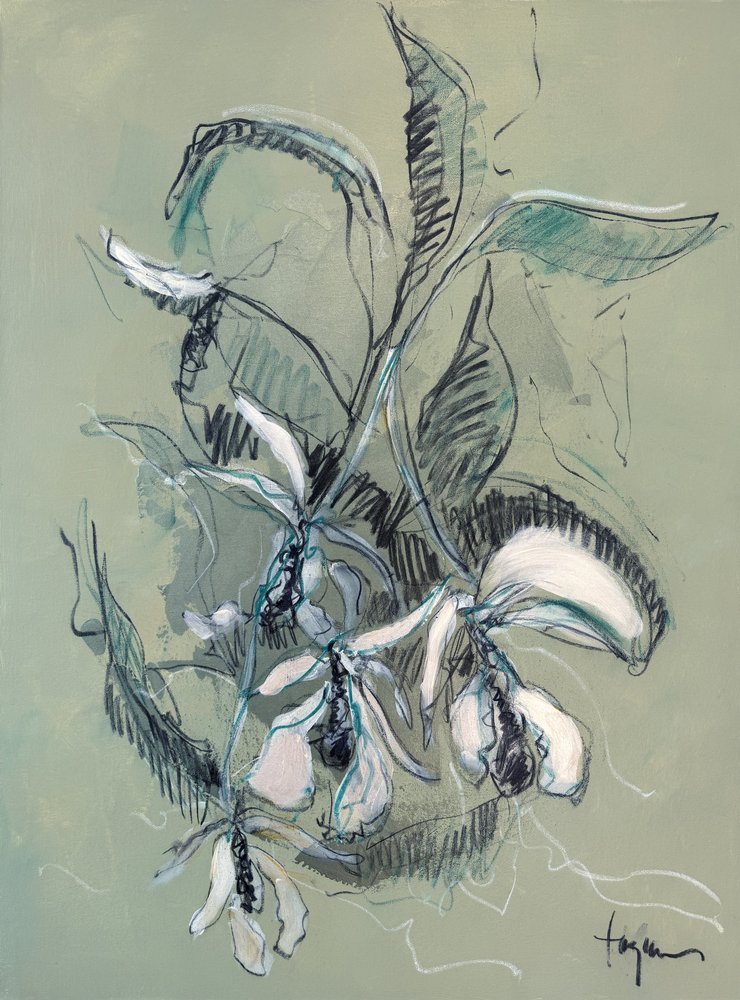 Esboço de uma orquídea elegante de Dorothy Fagan